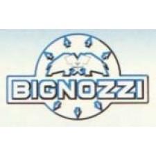 Bignozzi