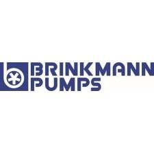 Brinkmann Pumps